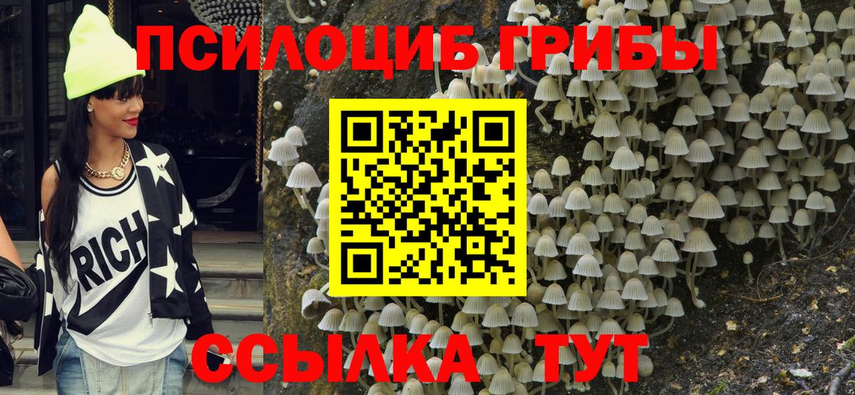 где купить   Вход с VPN  Бор  Галлюциногенные грибы MAGIC MUSHROOMS  Галлюциногенные грибы мухоморы 