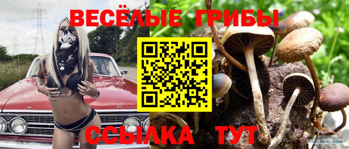 Псилоцибиновые грибы мухоморы Бор
